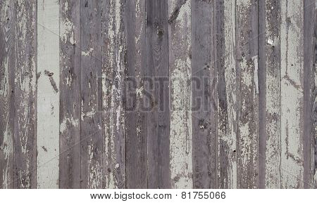 Old grunge fence of wood panels