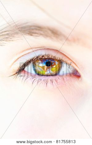 Photographer Portrait Reflection In Open Human Eye