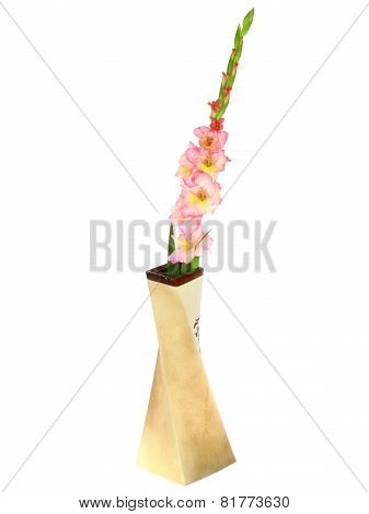 Pink Gladiolus In Vase . Isolated