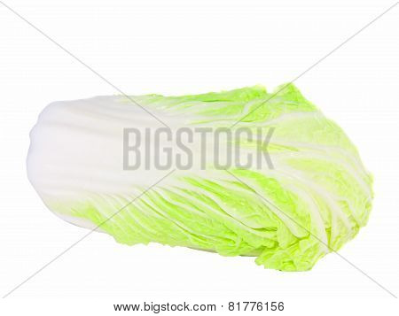 Chinese Cabbage On White . Isolated