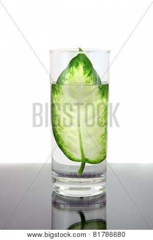 Ecology -green Leaf In Glass Of Water.