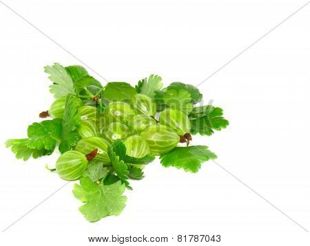 Ripe Gooseberry With Leaf On White.