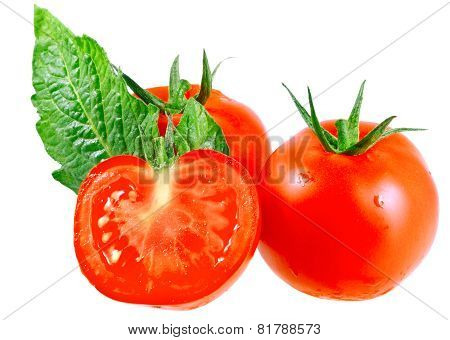 Lush Tomatos With Green Leafs. Isolated