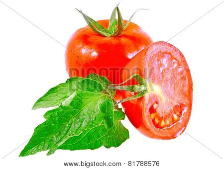 Lush Tomatos With Green Leafs. Isolated
