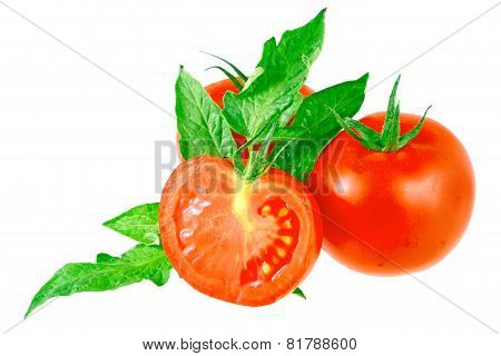 Lush Tomatos With Green Leafs. Isolated