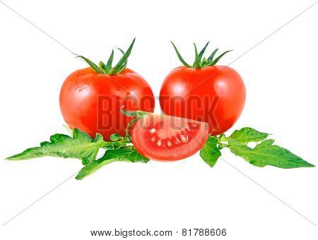 Lush Tomatos With Green Leafs. Isolated