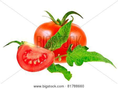 Lush Tomatos With Green Leafs. Isolated