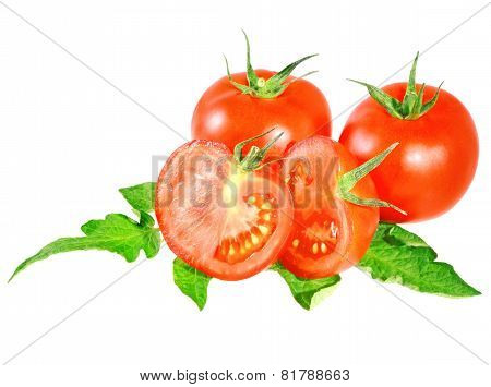 Lush Tomatos With Green Leafs. Isolated