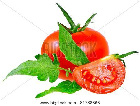 Lush Tomatos With Green Leafs. Isolated
