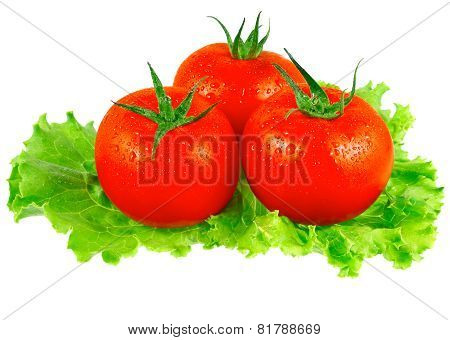 Lush Tomatos With Green Leafs. Isolated