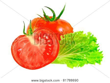 Lush Tomatos With Green Leafs. Isolated