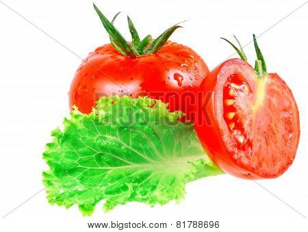Lush Tomatos With Green Leafs. Isolated