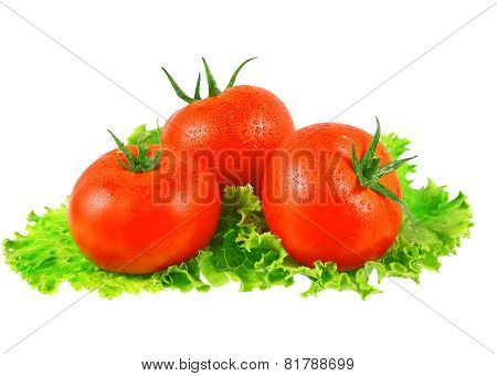 Lush Tomatos With Green Leafs. Isolated