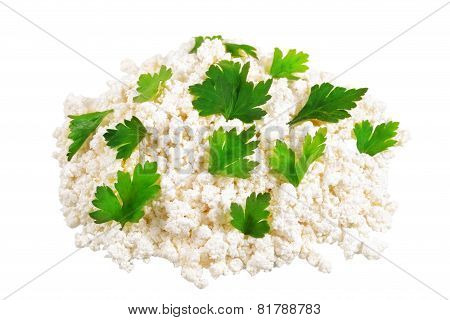 Fresh Cottage Cheese (curd) Heap With Parsley, Isolated On White Background .