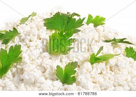 Fresh Cottage Cheese (curd) Heap With Parsley, Isolated On White Background .