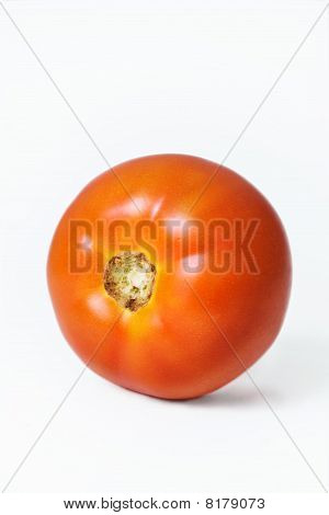 Tomate