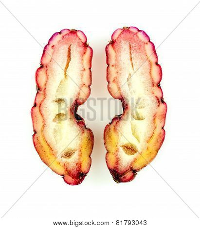 Pink Oca Isolated