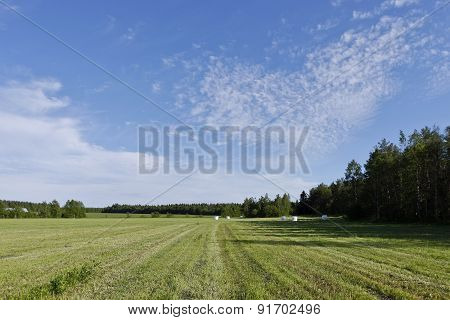 White balls of silage on a meadow.