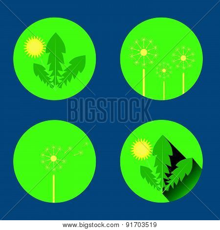 set of dandelion icons in flat style on green background