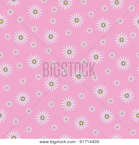 Seamless Texture  With Chamomiles