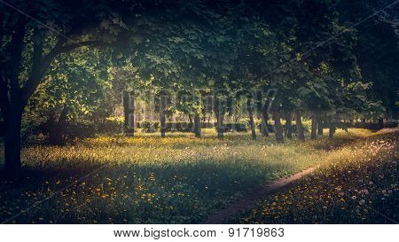 Morning In City Park.