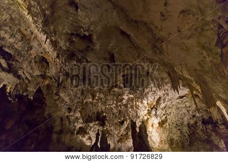 Postojna Cave