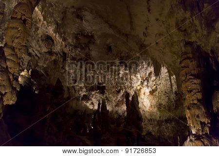 Postojna Cave
