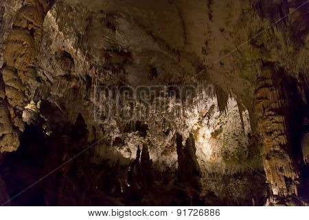 Postojna Cave