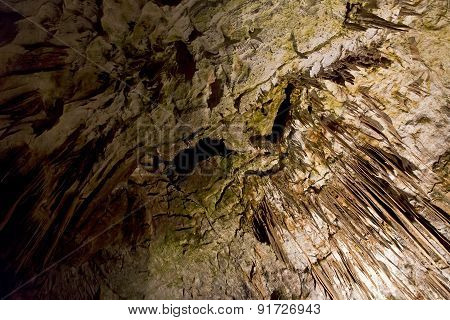 Postojna Cave