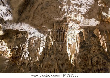 Postojna Cave