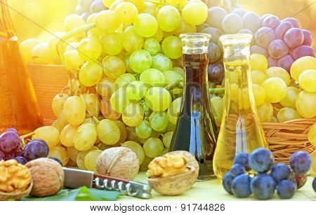 Wine and grapes