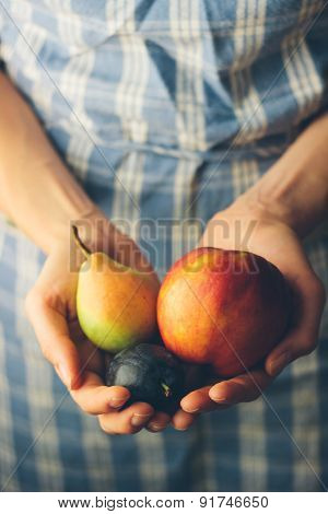Hands Holding Fresh Organic Fruits. Retro Colors