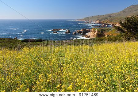 California Landscape