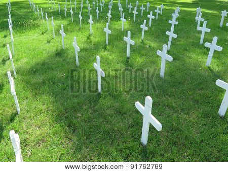 Crosses in Graveyard