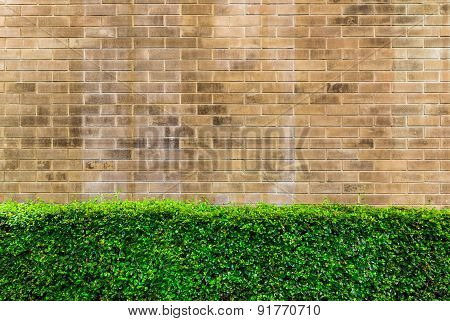 Vintage Style Decorative Brown Brick Wall With Plant