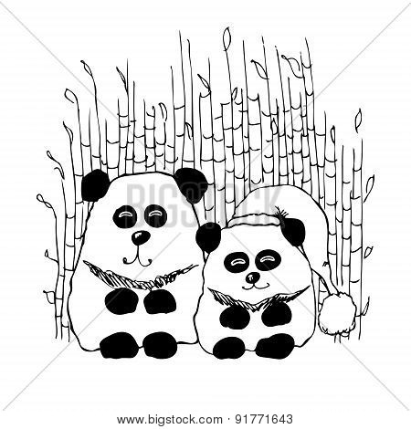 Two Pandas
