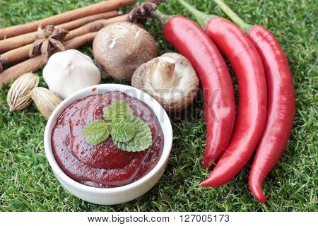 Korean red pepper gochujang for cooking on the grass
** Note: Soft Focus at 100%, best at smaller sizes