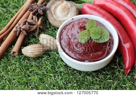 Korean red pepper gochujang for cooking on the grass
** Note: Soft Focus at 100%, best at smaller sizes