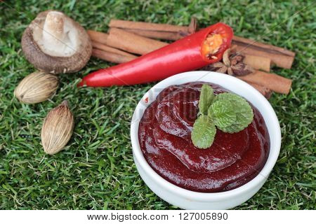 Korean red pepper gochujang for cooking on the grass
** Note: Soft Focus at 100%, best at smaller sizes