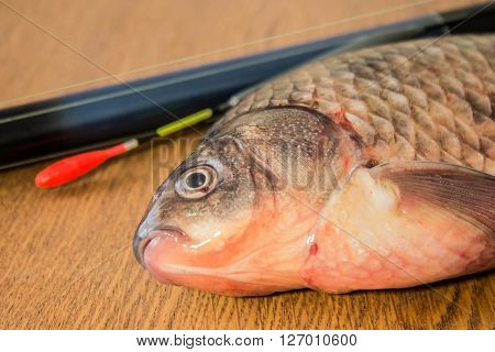 carp with fishing tackle on the wooden background
** Note: Soft Focus at 100%, best at smaller sizes