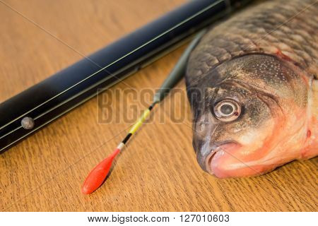 carp with fishing tackle on the wooden background
** Note: Soft Focus at 100%, best at smaller sizes