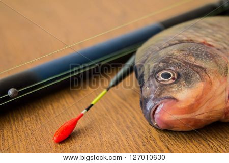 carp with fishing tackle on the wooden background
** Note: Soft Focus at 100%, best at smaller sizes