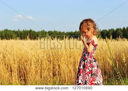 Cute Little girl is tinking on meadow at summer sunset