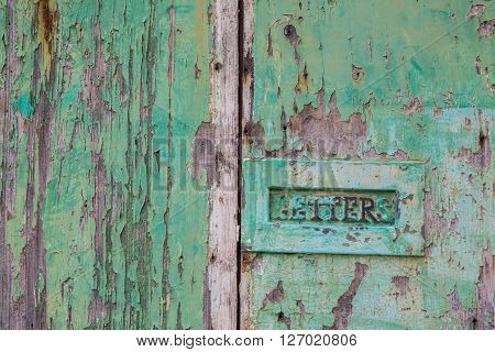 Green weathered green wood door with letterbox