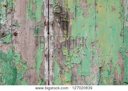 Green weathered and ruined green wood door