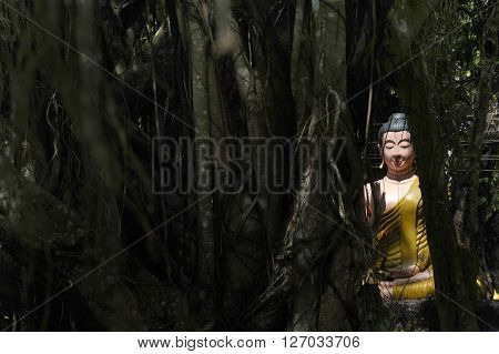 Buddha