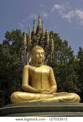 Buddha