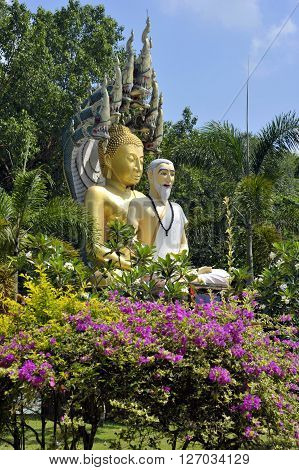 Buddha
