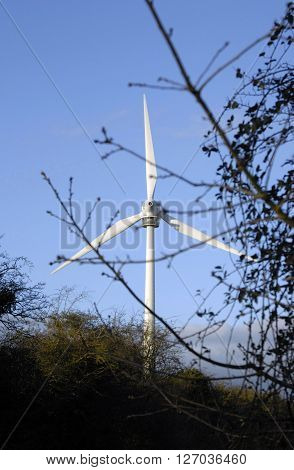 Wind Turbine