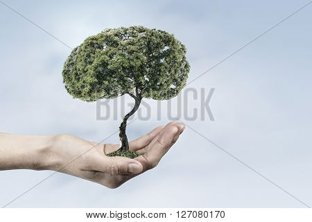 Green eco life 